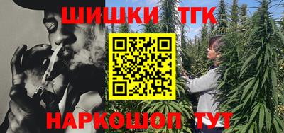 стафф Камышлов