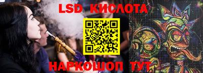 стафф Камышлов