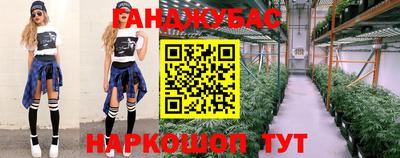 стафф Камышлов