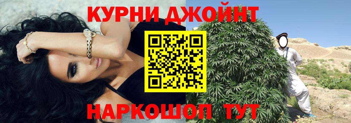 Канабис план  Вход с VPN  Краснознаменск  Шишки марихуана сатива  Канабис OG Kush 