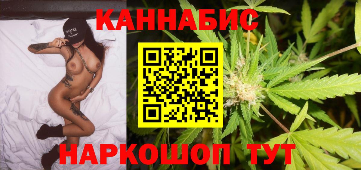 Марихуана сатива Краснознаменск